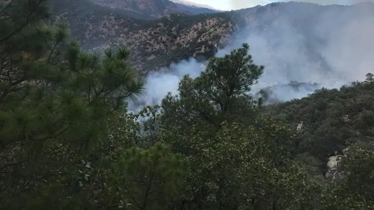Combaten incendio forestal en Aconchi