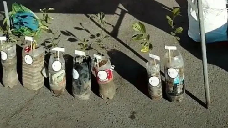 Presentan proyecto para mejorar cultura ambiental en Hermosillo