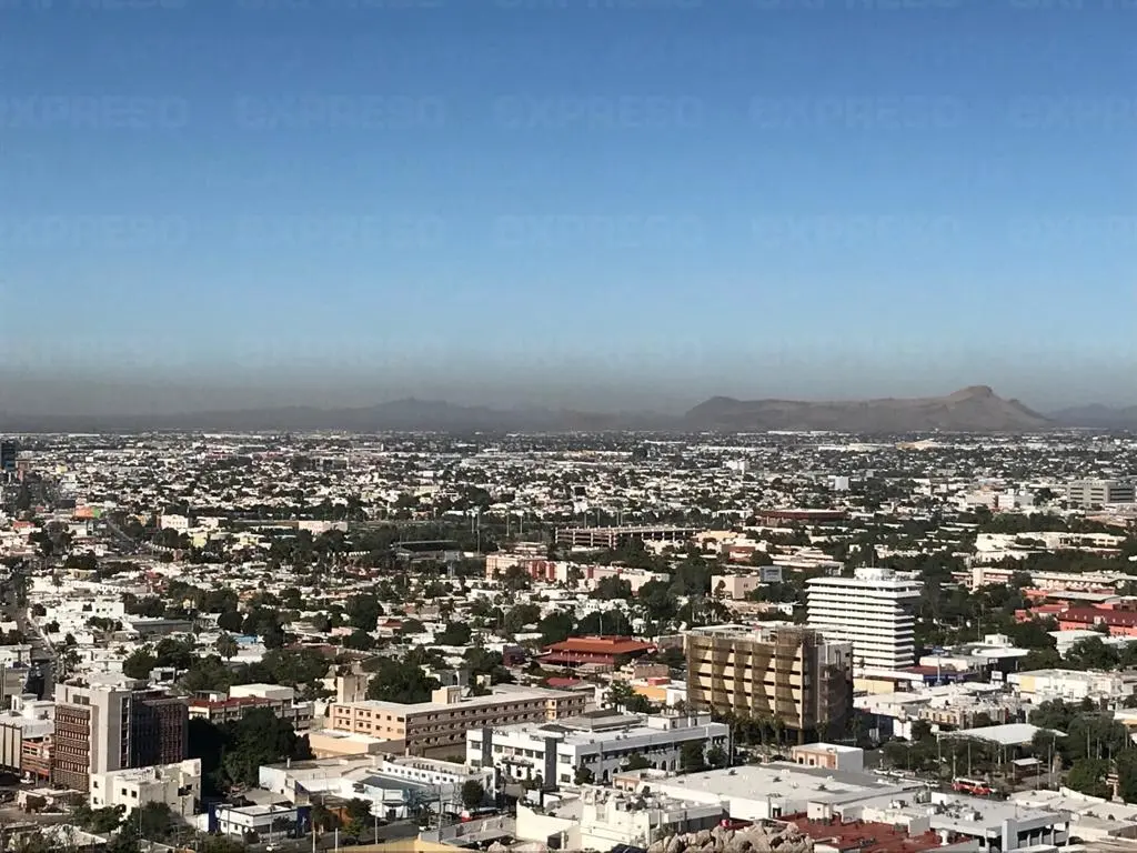 Tala de árboles afecta la calidad del aire en Hermosillo