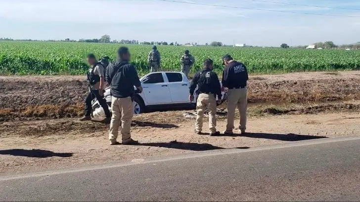 Hasta un perro fue asesinado en Cajeme en ataques armados; suman 49 homicidios enero