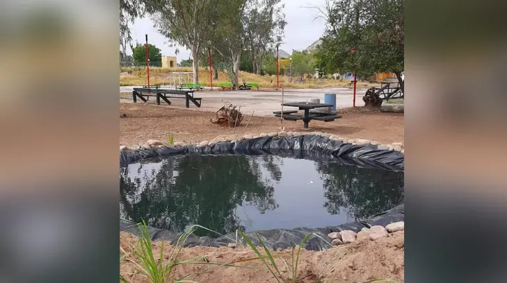¿Te gustaría tener un estanque en el jardín? Así es el taller que te enseña cómo hacerlo