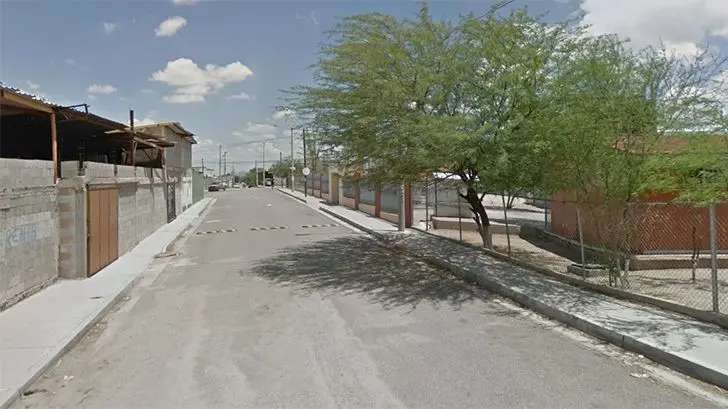 Viven Los Olivos entre proliferación de perros callejeros y calles sin pavimentar