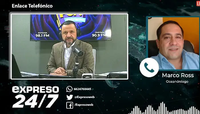 Expreso 24/7: Ataques de tiburones a humanos como el de Yavaros son poco comunes