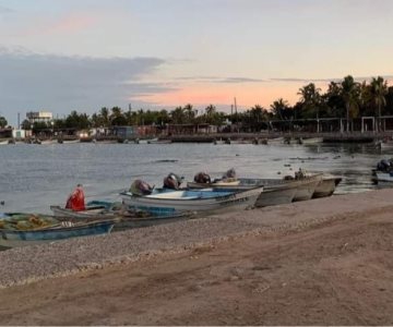 Estos son los factores del aumento de la presencia de tiburón en Sonora