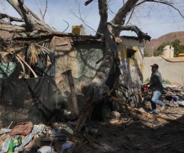 Árbol cae encima de vivienda; había tres personas dentro