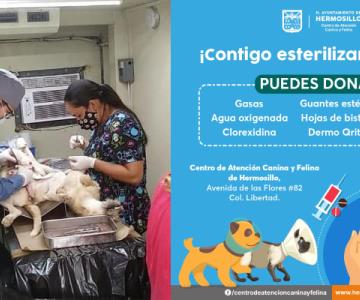 Hermosillo: Exhortan a donar material para seguir con esterilizaciones gratuitas