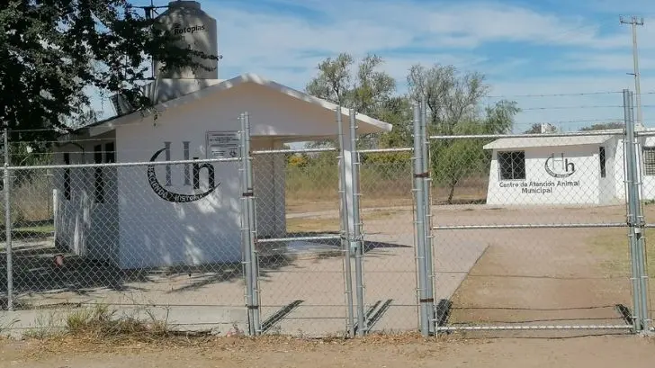 Jornada de esterilización gratuita para perros en Navojoa