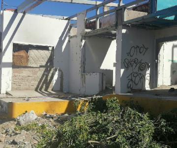 Hermosillo: Acumuladores de basura preocupan en la colonia Heberto Castillo