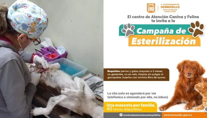 (Foto: Especial/EXPRESO)