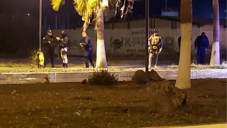 Encuentran a un hombre atado a un árbol frente a una comandancia de Guaymas