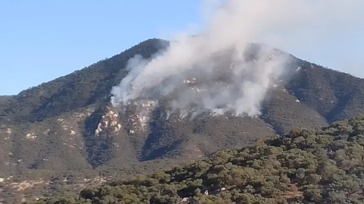 Aconchi y San Miguel de Horcasitas los más afectados por incendios forestales