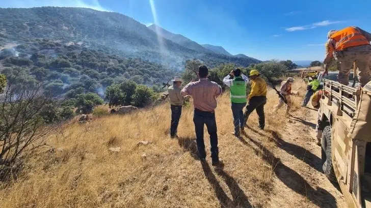 Controlan el 70% del incendio forestal en sierra alta de Aconchi