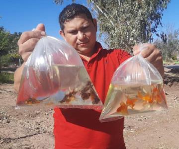 Hasta peces llevaron los hermosillenses en el cuarto Domingo de Sauceda