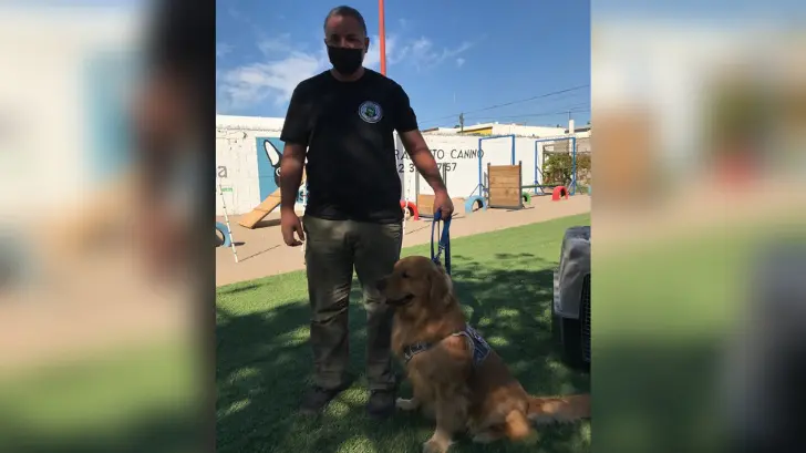 Lo que debes saber sobre los perros de asistencia para personas con ataques epilépticos