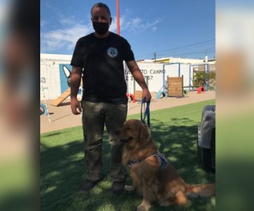 Lo que debes saber sobre los perros de asistencia para personas con ataques epilépticos