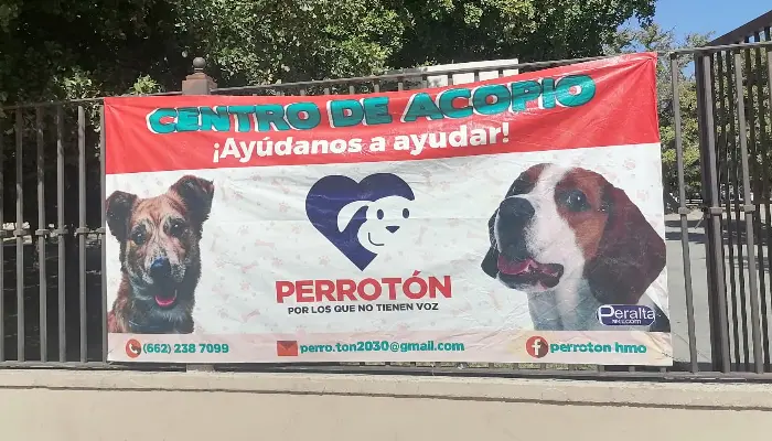 El Perroton solicita alimento para felinos y canes