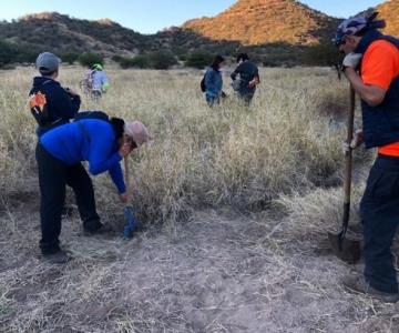 Salvemos los Sahuaros; Colectivos ecológicos se suman al rescate de plantas nativas de la región