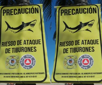 ¿Más tiburones en las playas? Colocan advertencias para los visitantes