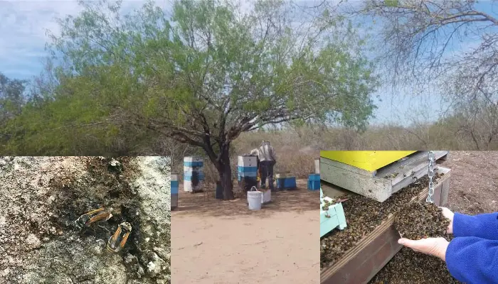 Imágenes: Ilustrativas/EXPRESO