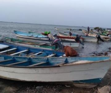 Temerosos por su vida, buzos recibirán los brazaletes ahuyenta tiburones