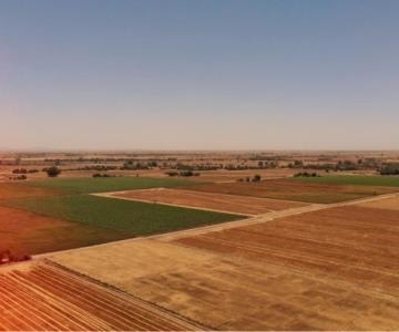 Sequía golpea a la presa del Mocúzari y a la agricultura del Valle del Mayo