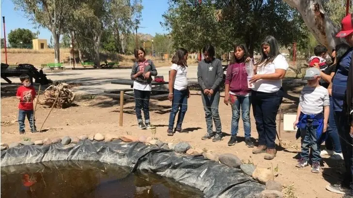 Así se vivió el séptimo Domingo de Sauceda