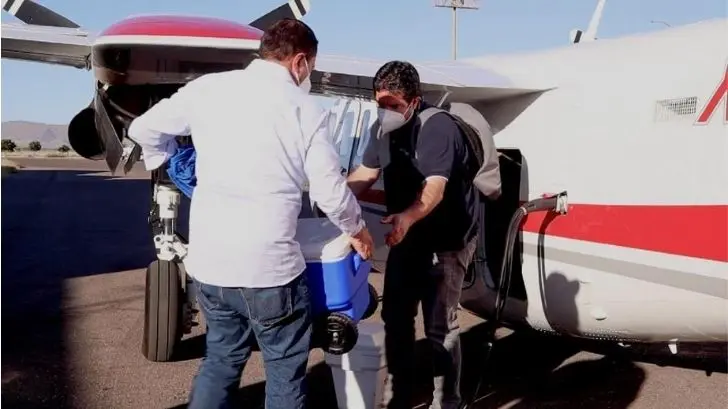 Donación de órganos en Sonora: Secretaría de Salud prepara traslado