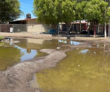 Drenaje colapsado pone en riesgo la salud de estudiantes y docentes en Navojoa