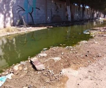 Vecinos de Valle Dorado viven entre drenajes colapsados y calles intrasintables