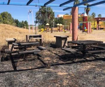 Parque La Sauceda: inician planes para resarcir los daños del incendio