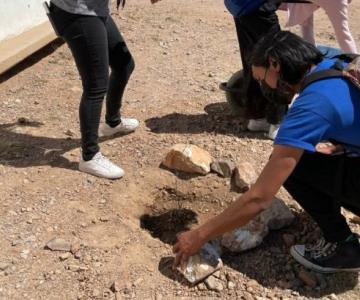 Alumnos y colectivos se reúnen a reforestar preparatoria Cetis 128