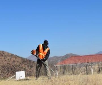 Unidad deportiva abandonada en Nogales recibe limpieza y reforestación