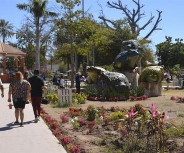 Crean figuras gigantes de sapo toro en Cócorit