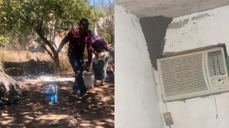 Aumentan llamados por ataques de abeja en Etchojoa