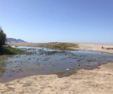 Regresan las aguas estancadas a la playa San Francisco