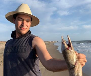 Aparecen animales extraños al sur de Sonora