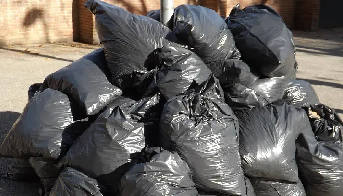 CDMX: Perro encuentra cuerpo en bolsa negra de basura