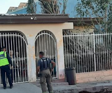 Caída de palmera quedó en susto para mujer mayor