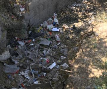 Canal de la colonia Palo Verde es un foco de infección