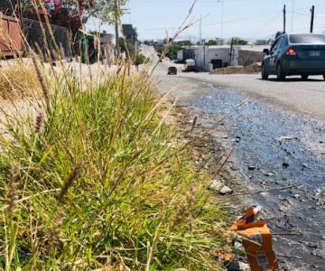 Fuga de aguas negras tiene hartos a vecinos de la San Luis