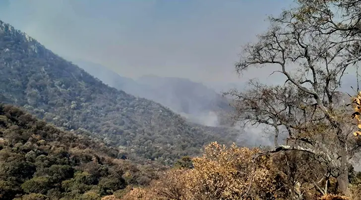 Esperan controlar incendio en la Sierra de Álamos dentro de las próximas 48 horas