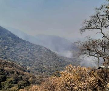 Esperan controlar incendio en la Sierra de Álamos dentro de las próximas 48 horas