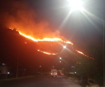 Detienen a pirómano con el fuego en la mano en el Cerro de la Cementera