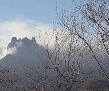 Impedirán el paso a turistas a la Sierra de Álamos, buscan prevenir incendios