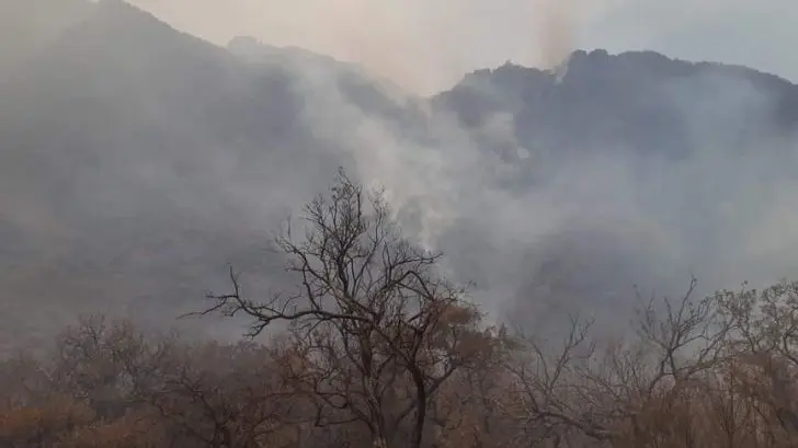 Incendio de Álamos: Conafor y Ejido La Aduana buscan a los responsables
