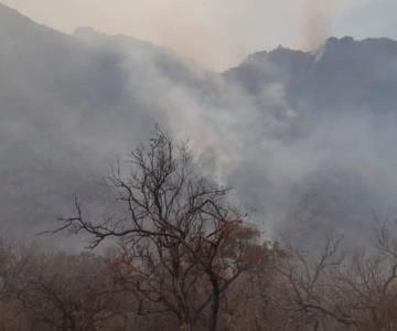 Incendio de Álamos: Conafor y Ejido La Aduana buscan a los responsables