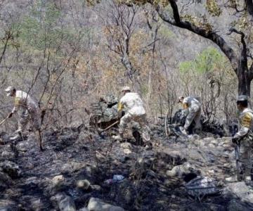 Logran controlar incendio en Sierra de Álamos al 85%