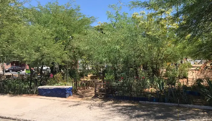 Vecinos de la colonia Adolfo de la Huerta mantienen su barrio ante desatención municipal