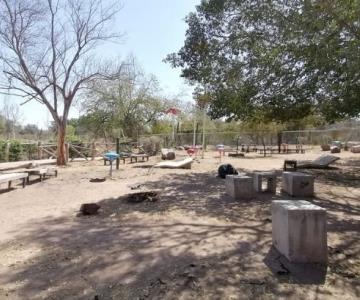 Buscan rescatar Parque Ecológico El Rebote