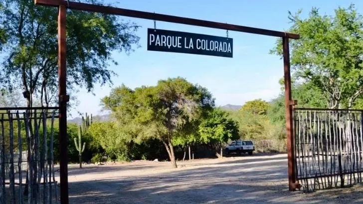 10 años del Parque La Colorada